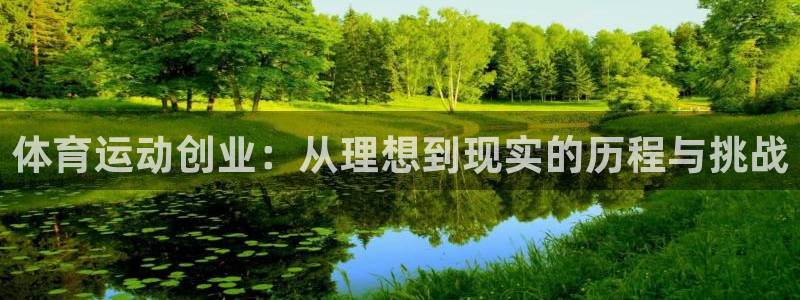 6T体育m.6t05：体育运动创业：从理想到现实的历程与挑战