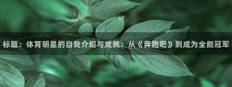 6t体育app