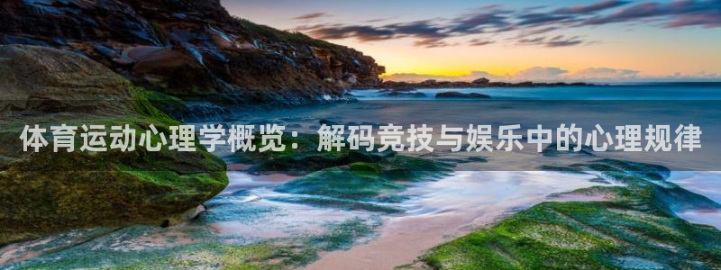 6T体育平台被端