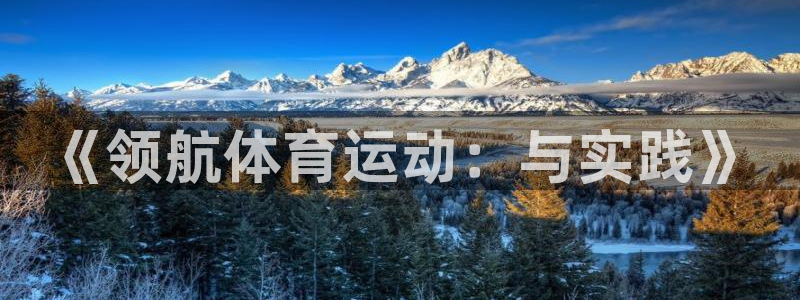 6t体育官方网站入口：《领航体育运动：与实践》