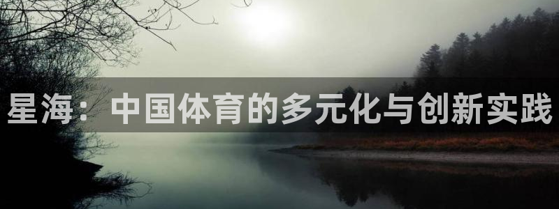 6t体育平台：星海：中国体育的多元化与创新实践