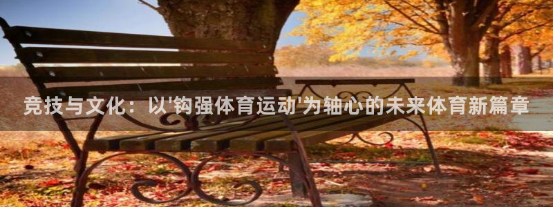 6t体育官网入口：竞技与文化：以\'钩强体育运动\'为轴心的未来体育新篇章