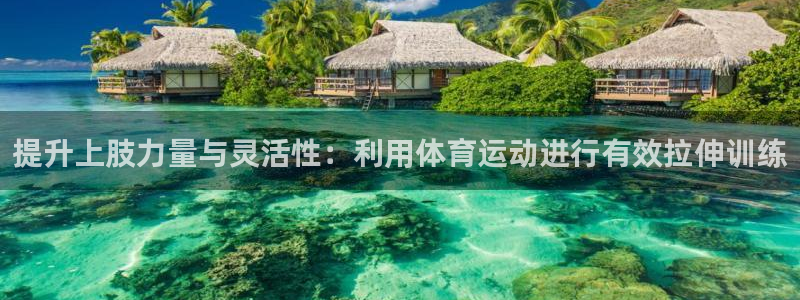 6T体育平台官网入口
