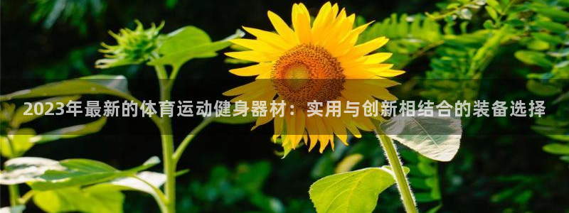 6t体育可靠吗：2023年最新的体育运动健身器材：实用与创新相结合的装备选择