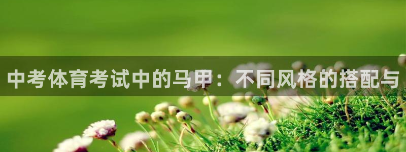 6t体育和谁合作：中考体育考试中的马甲：不同风格的搭配与